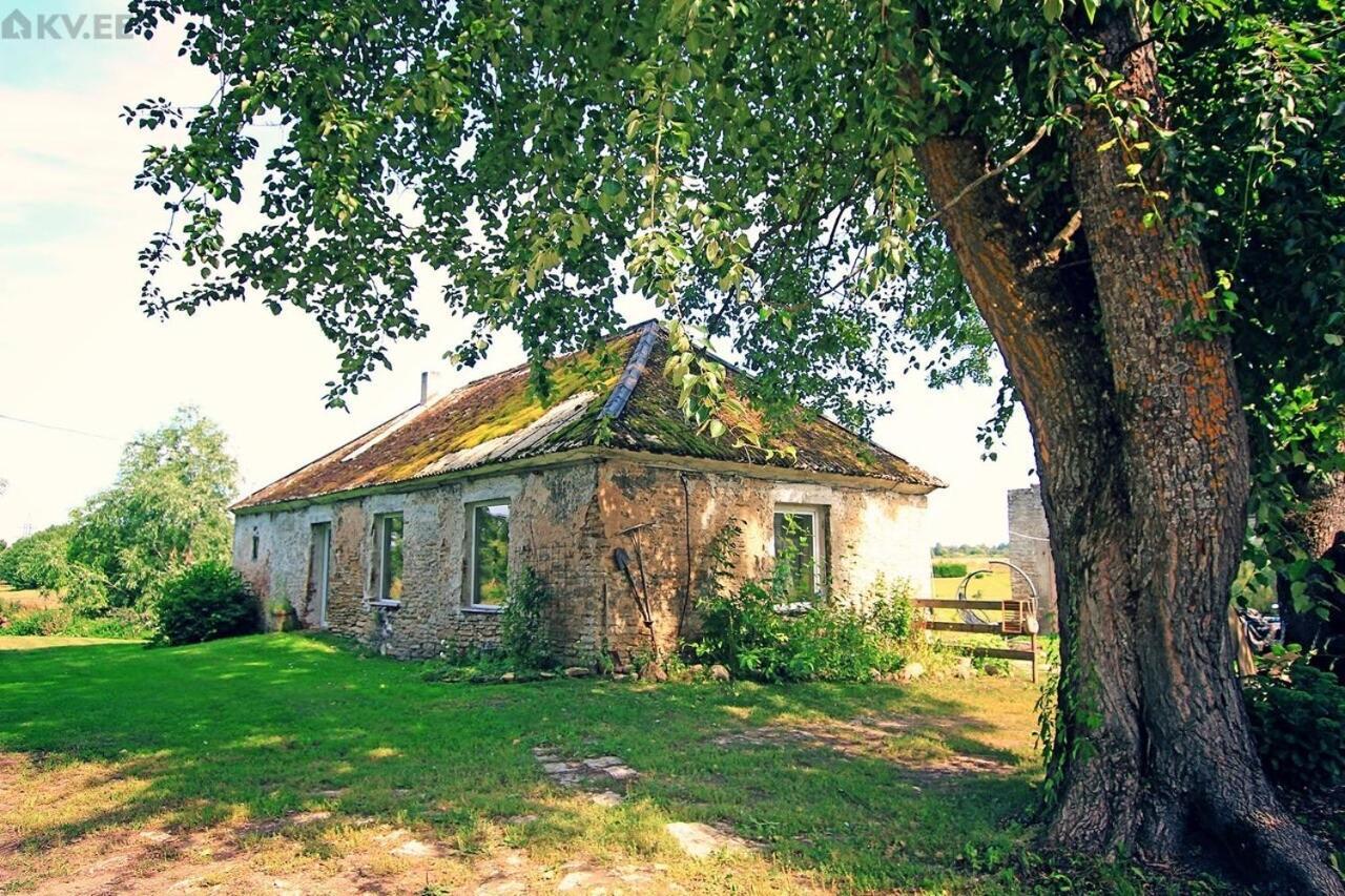 B&B Rando & Kaerdi Juures Oue Luganuse ภายนอก รูปภาพ